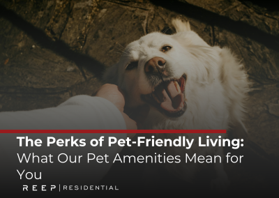 The Perks of Pet-Friendly Living: What Our Pet Amenities Mean for You